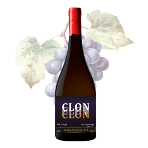 RIVERAS DE CHILLAN - CLON – Pinot Noir