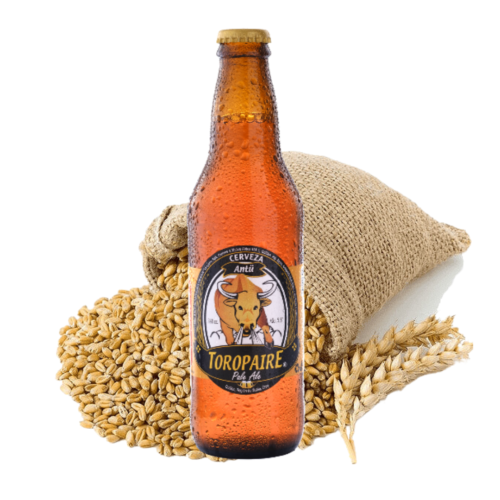 TOROPAIRE - Antü – Pale Ale