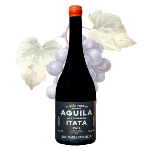 AGUILA Pais 2023- Ana Maria Cumsille