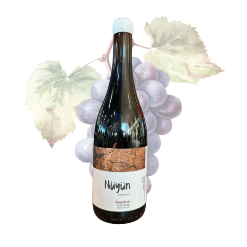 VIÑA SAN LUIS - NUYUN - Cinsault y País 2022