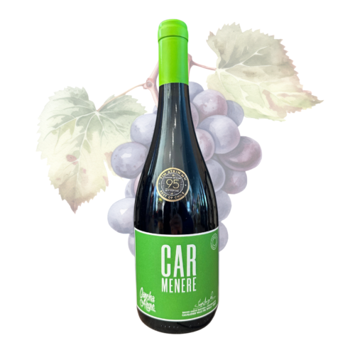 CANCHA ALEGRE - Carmenere 2016