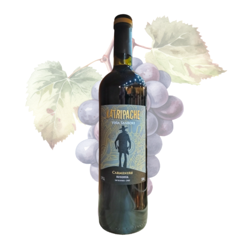 SANROKE - KATRIPACHE - Carmenere