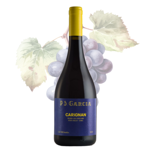 PS GARCIA - Carignan 2021