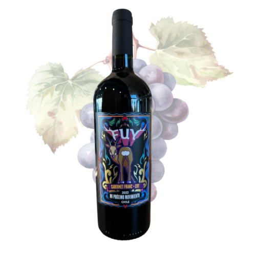 FUY MI PROXIMO MOVIMIENTO - Cabernet Franc y Cot 2022