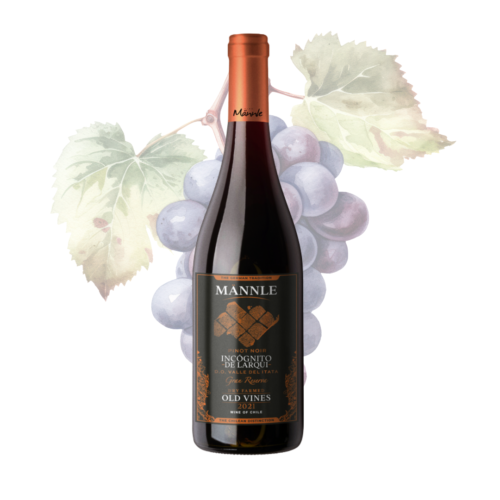 MANNLE - Pinot Noir  G.R 2021