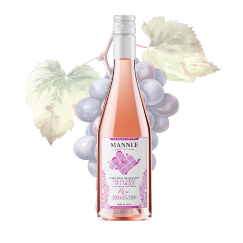 MANNLE - Pinot Noir Field Blend Rosé 2024