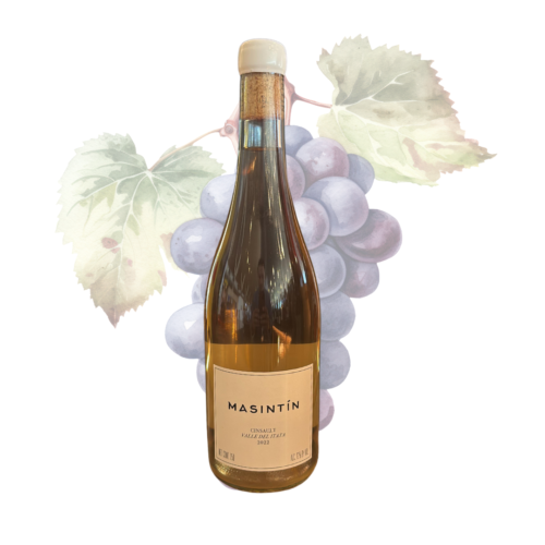 MASINTIN - Cinsault Blanco 2022