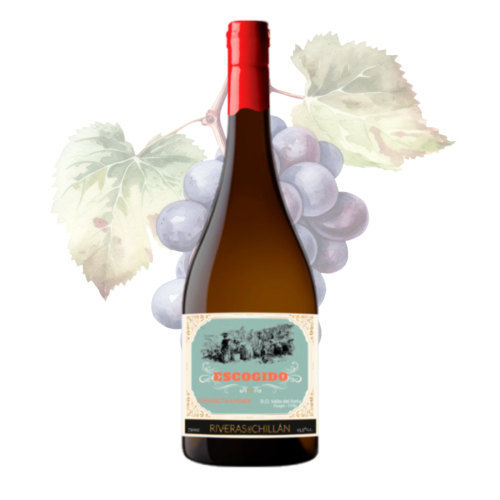 RIVERAS DE CHILLAN - ESCOGIDO - Gewurztraminer 2023